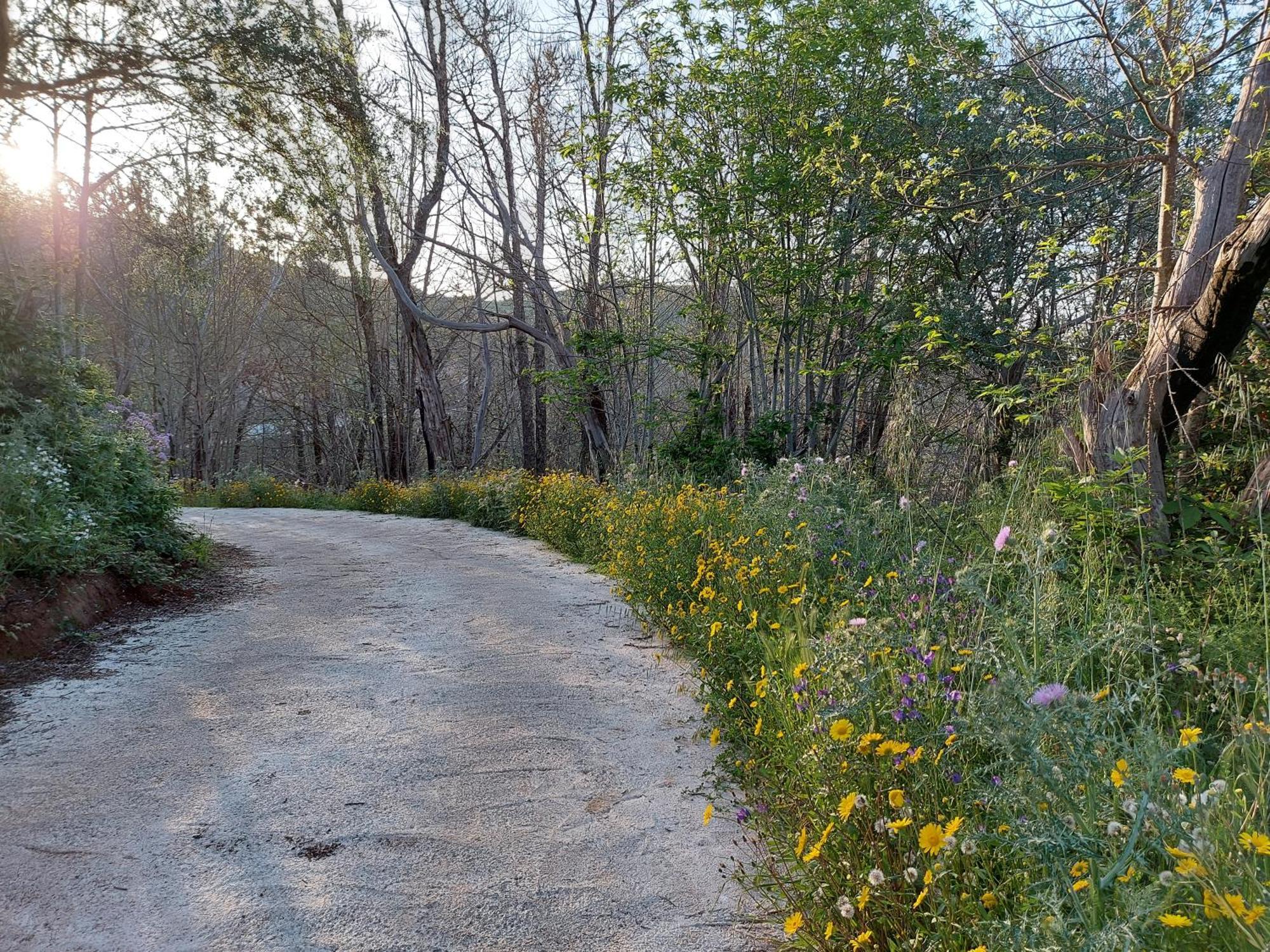 Moya  Finca Naturacanaria מראה חיצוני תמונה