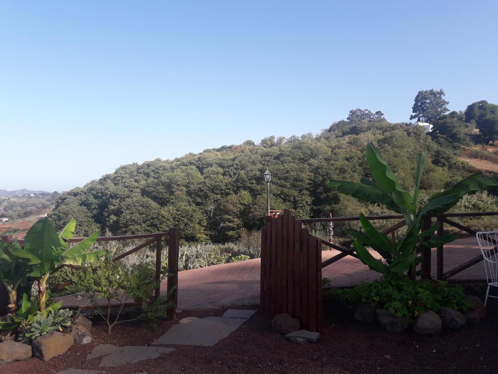 Moya  Finca Naturacanaria מראה חיצוני תמונה