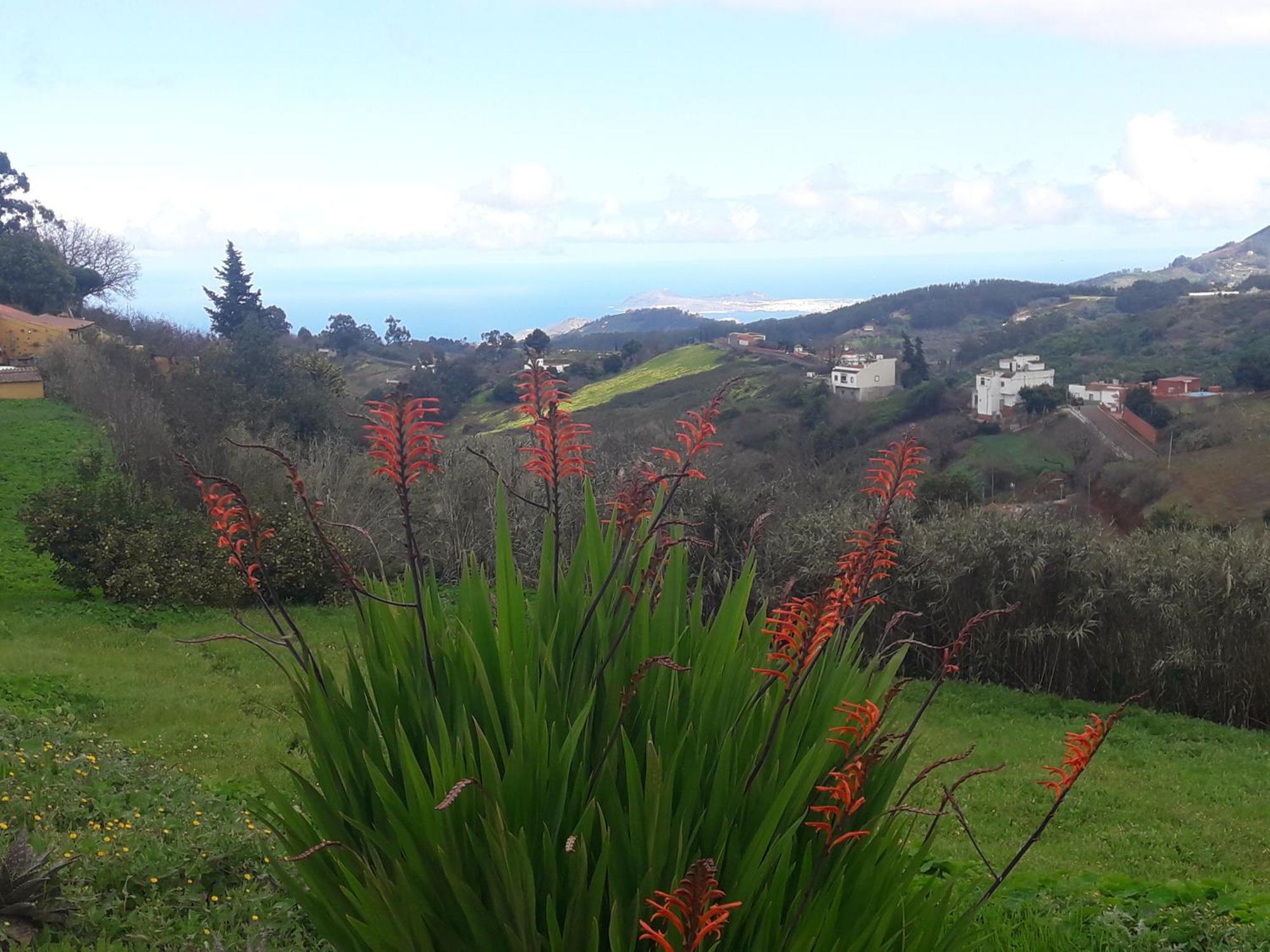 Moya  Finca Naturacanaria מראה חיצוני תמונה