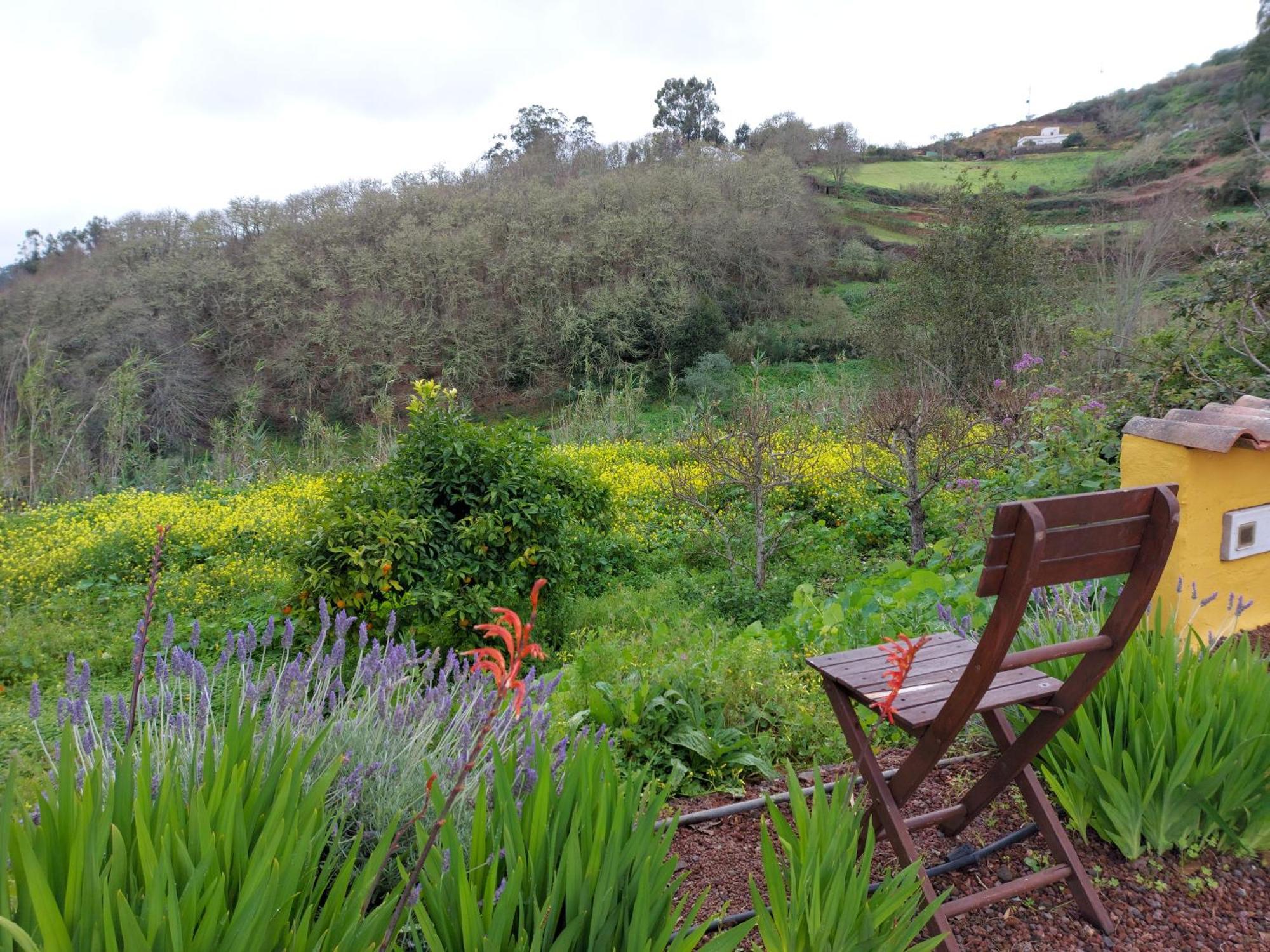 Moya  Finca Naturacanaria מראה חיצוני תמונה