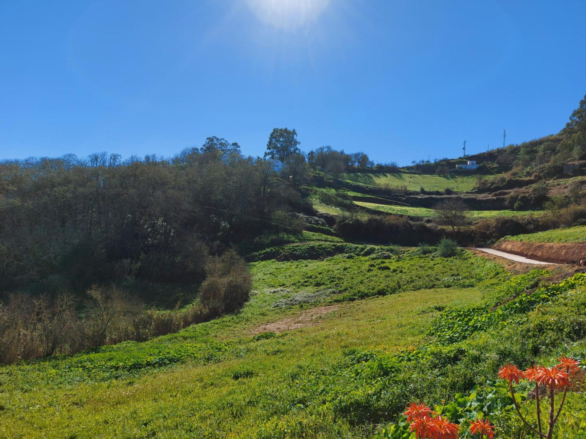 Moya  Finca Naturacanaria מראה חיצוני תמונה