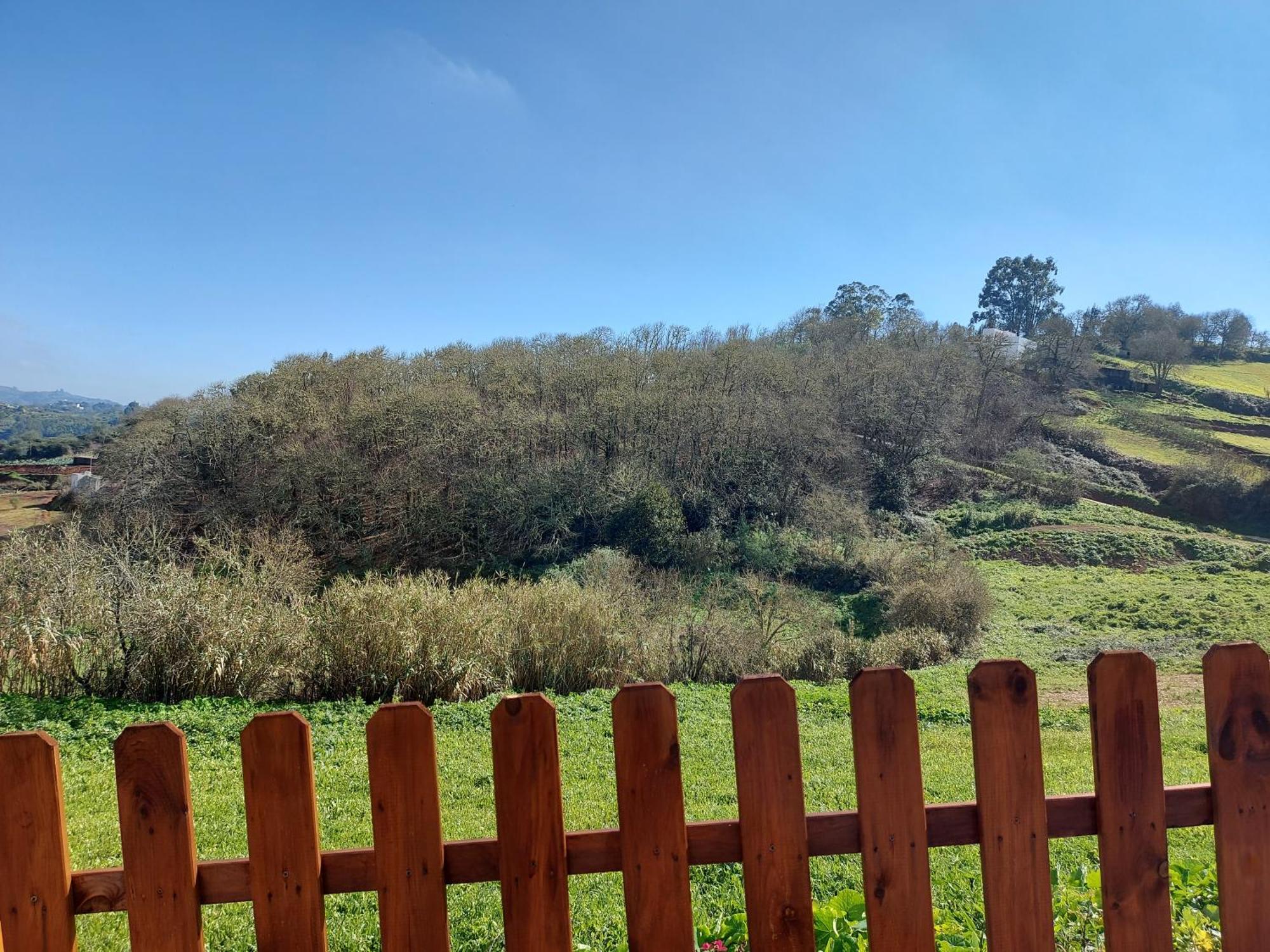 Moya  Finca Naturacanaria מראה חיצוני תמונה