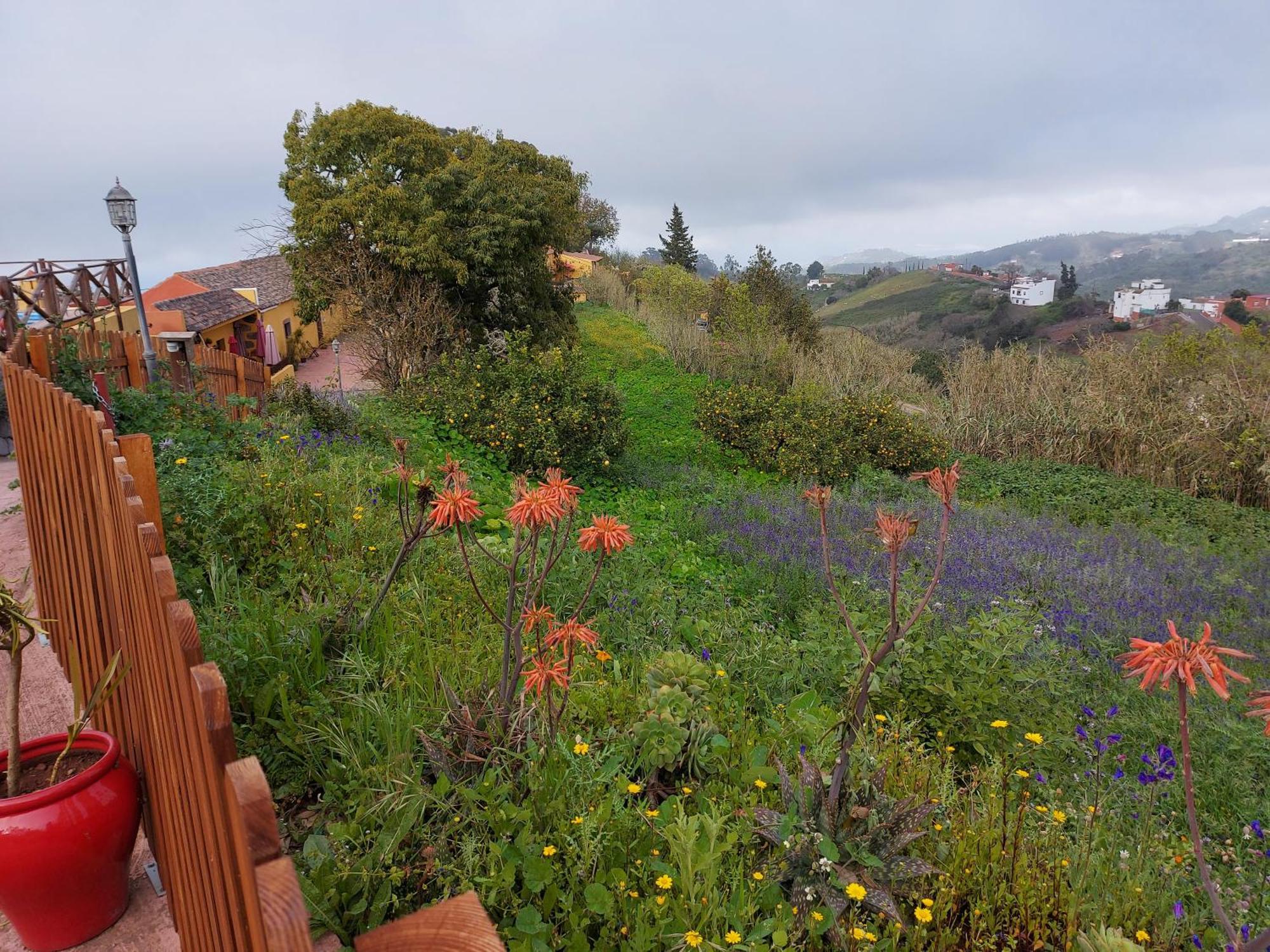 Moya  Finca Naturacanaria מראה חיצוני תמונה