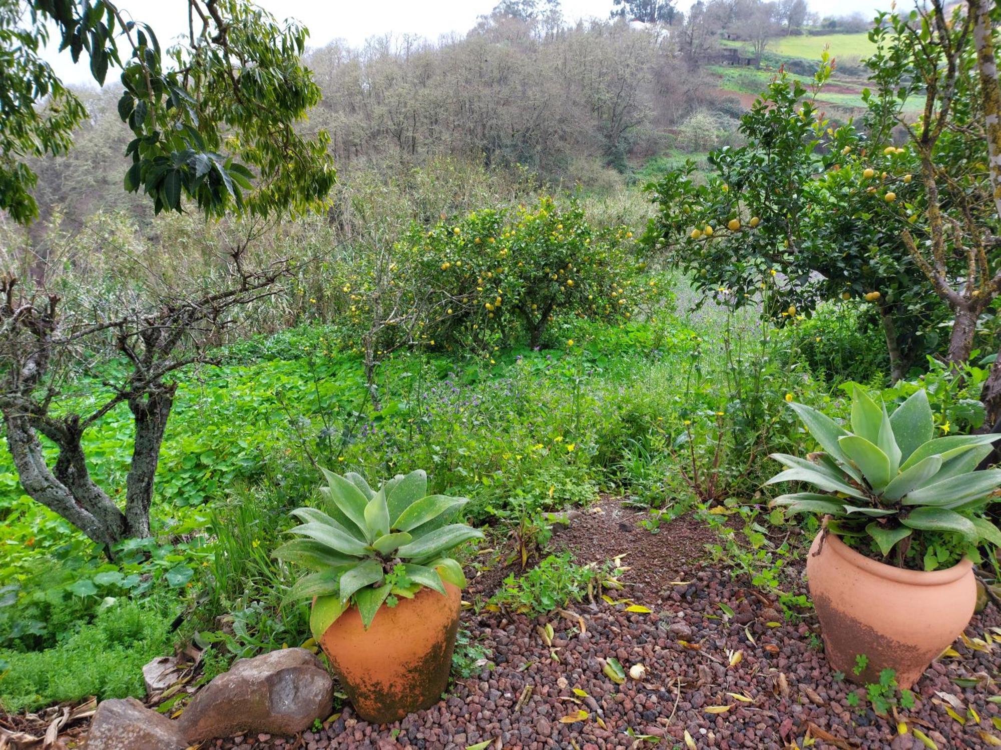 Moya  Finca Naturacanaria מראה חיצוני תמונה