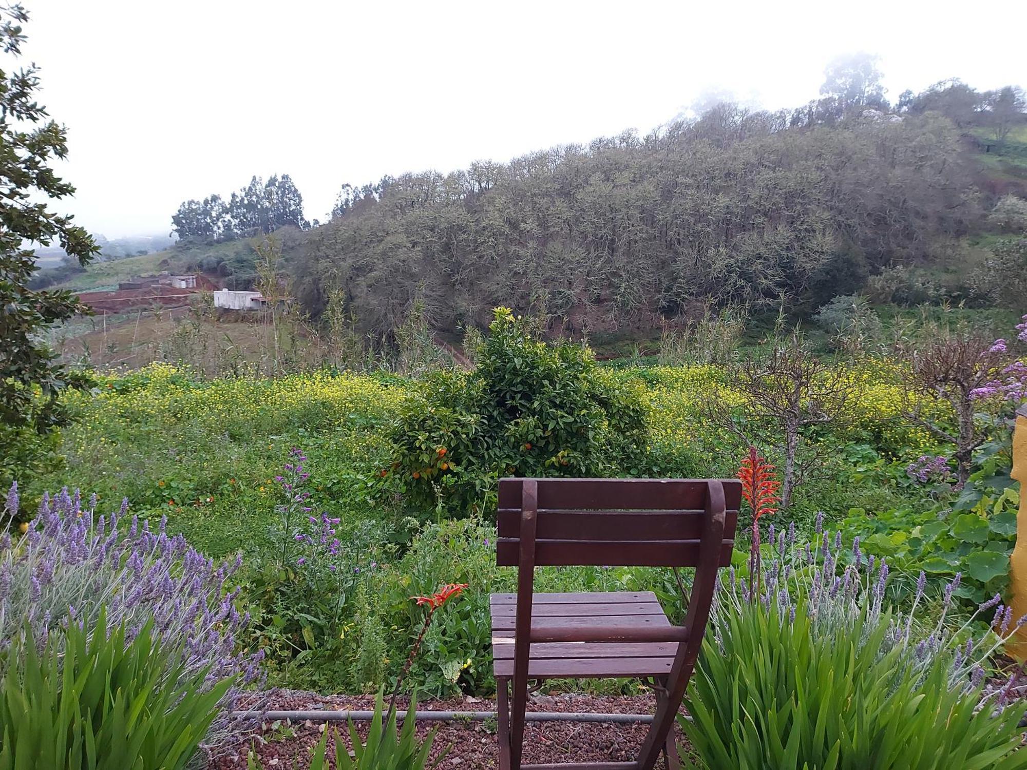Moya  Finca Naturacanaria מראה חיצוני תמונה