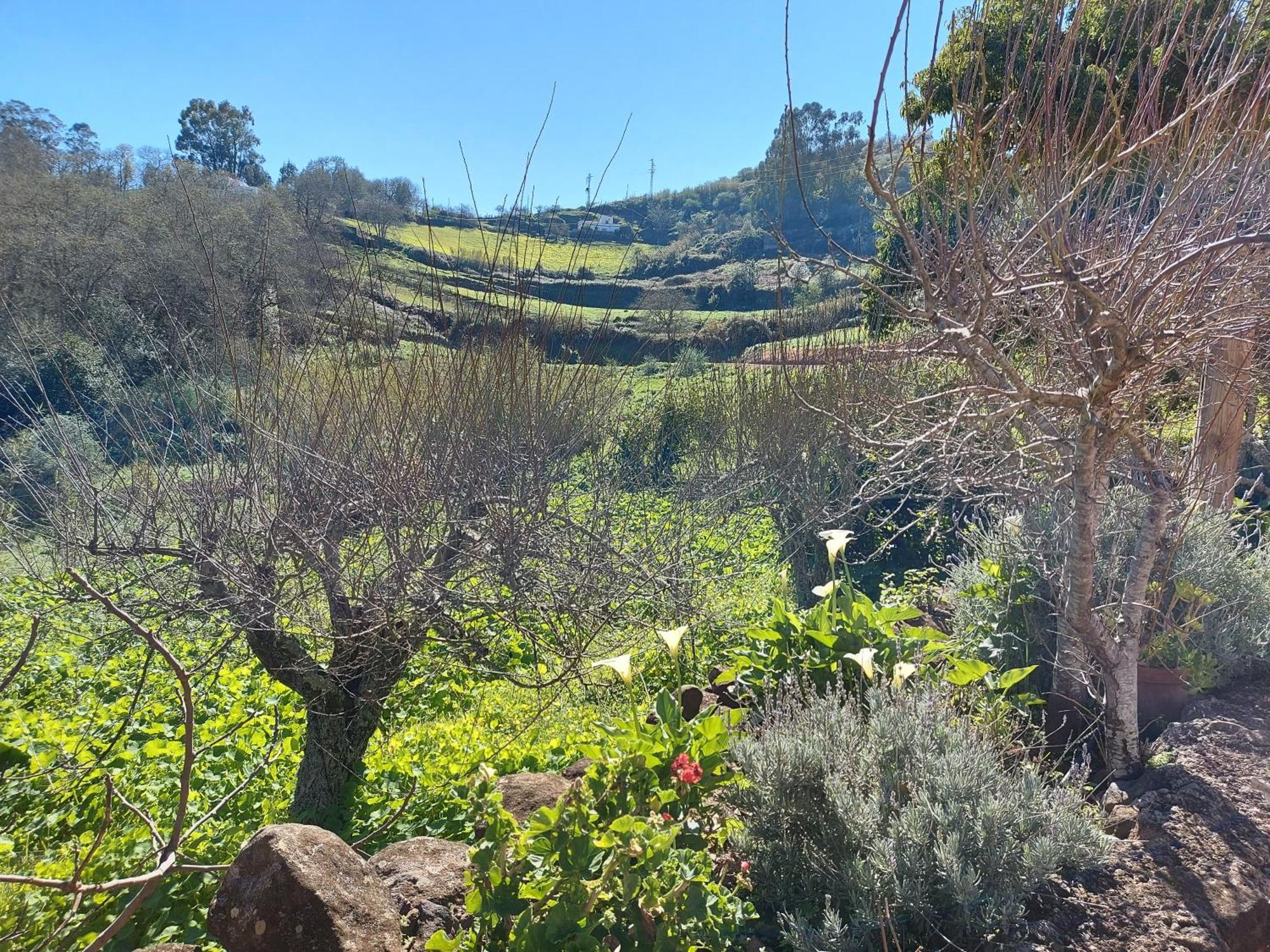 Moya  Finca Naturacanaria מראה חיצוני תמונה